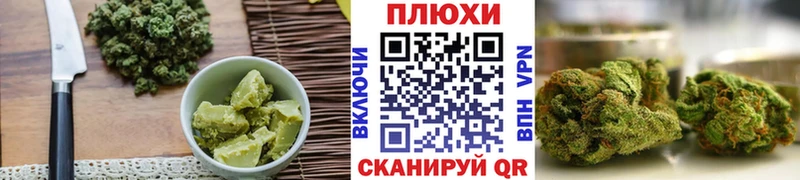 hydra ONION  Талдом  Canna-Cookies конопля  как найти наркотики 