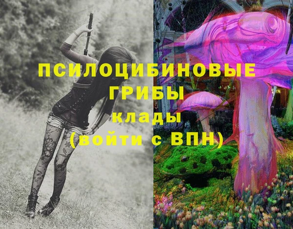 первитин Белокуриха