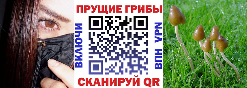 Псилоцибиновые грибы мухоморы  Талдом 
