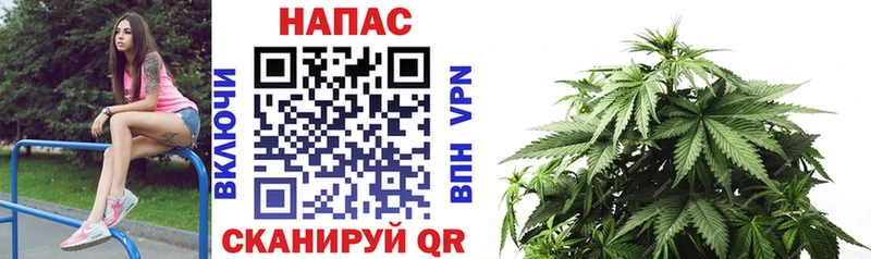 наркота  Талдом  МАРИХУАНА White Widow 